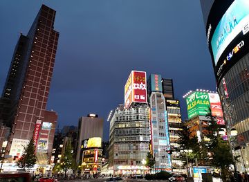 japan/tokyo/shinjuku/landmark/omoide-yokocho
