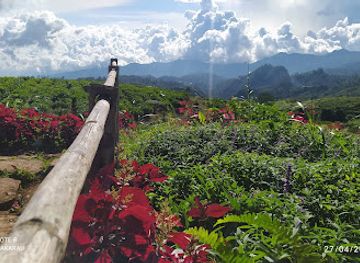 indonesia/sulawesi/landmark/puncak-kebun-teh-malino
