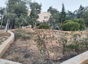 jordan/amman/abdoun/landmark/zahran-park