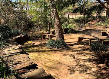 texas/piney-woods/landmark/sfa-mast-arboretum