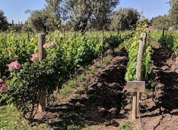 argentina/mendoza-wine-region/landmark/mendel-wines