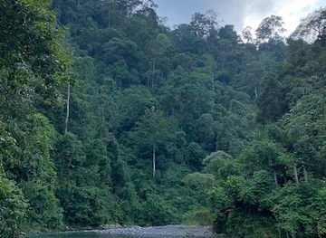 indonesia/bukit-lawang/landmark/bukit-lawang-adventure