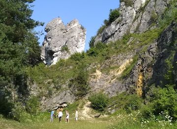 poland/beskid-niski-mountains/landmark/jaskinia-gleboka
