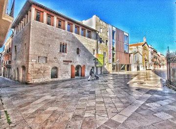 spain/barcelona/landmark/placa-de-jaume-i