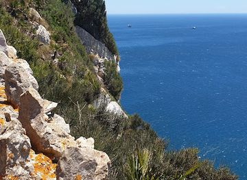 gibraltar/gibraltar-nature-reserve/landmark/mediterranean-steps