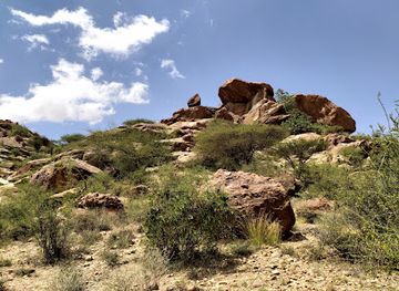 somalia/hargeisa/landmark/laas-geel-tour-safaris-tourism-company