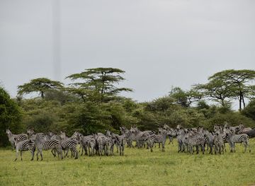 tanzania/ruaha-national-park/landmark/nyerere-national-park