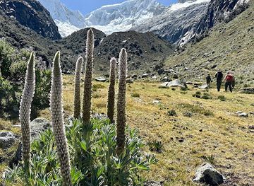 peru/andean-highlands/landmark/peruvian-andes-adventures