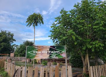 guyana/essequibo-islands-west-demerara/landmark/the-rs-farm-agri-eco-retreat-outdoor-event-space