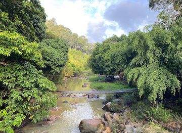 thailand/ranong/landmark/raksa-warin-hot-spring