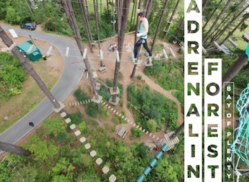 new-zealand/bay-of-plenty/landmark/adrenalin-forest-bay-of-plenty