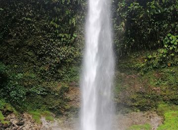 ecuador/oriente/landmark/the-crock