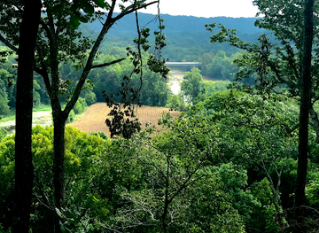 tennessee/duck-river-valley/landmark/horseshoe-bend-farm-wines