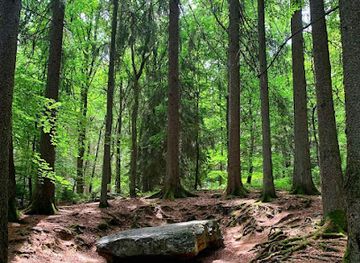 belgium/hautes-fagnes/landmark/dolmen-de-solwaster