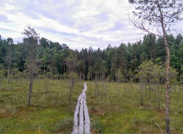 latvia/latgale/landmark/andrupenes-purva-taka