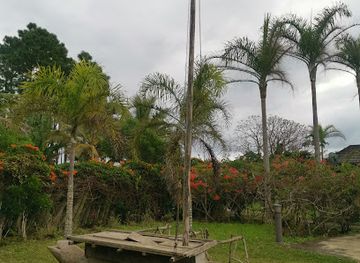 new-caledonia/ile-des-pins/landmark/moue-ile-des-pins-airport