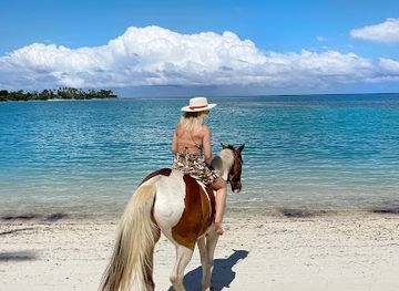 vanuatu/shefa-province/landmark/club-hippique-adventure-park
