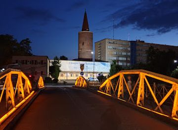 poland/opole/landmark/monument-karol-musiol