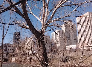 nevada/reno/landmark/national-automobile-museum