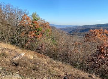 pennsylvania/bald-eagle-state-park/landmark/bald-eagle-state-forest