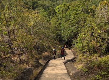 brunei/pulau-selirong-forest-reserve/landmark/bukit-shahbandar-forest-recreation-park