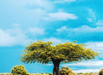 tanzania/southern-highlands/landmark/ruaha-national-park