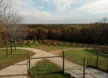 minnesota/winona/landmark/garvin-heights-vineyards