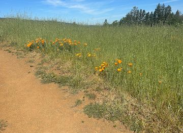 california/palo-alto/landmark/the-couple-bench