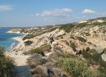 cyprus/akamas-peninsula/landmark/ranti-forest-beach