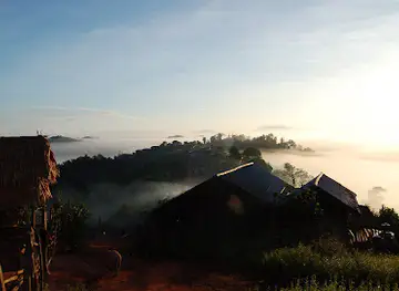 Into the wild travel company
