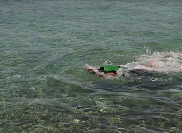 united-arab-emirates/arabian-gulf-coast/landmark/al-aryam-island