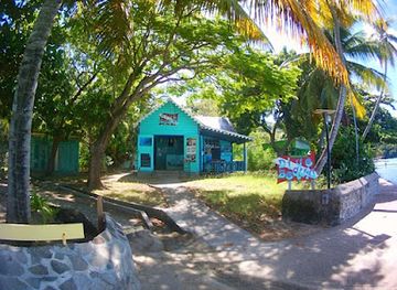 saint-vincent-and-the-grenadines/mustique/landmark/dive-bequia