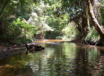 brunei/pulau-selirong-forest-reserve/landmark/peradayan-forest-reserve