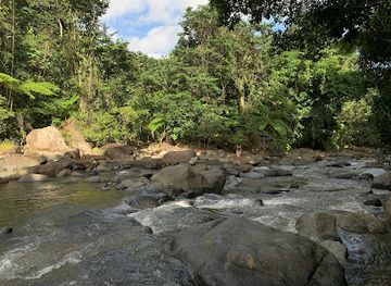 puerto-rico/el-yunque-national-forest/landmark/vereda-angelito