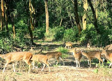 nepal/chitwan-national-park/landmark/kumroj-community-forest