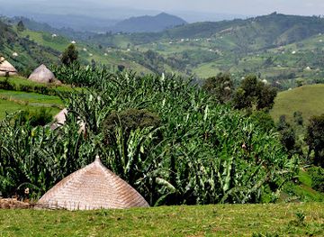 ethiopia/sidama-region/landmark/garanba-mountain-community-based-tourism-destination