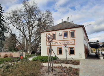 hungary/koszeg-mountains/landmark/koszegi-oriasplatan