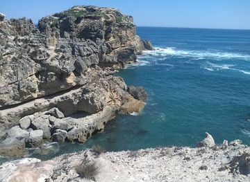 australia/limestone-coast/landmark/ewens-ponds-conservation-park