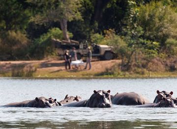 Lower Zambezi National Park