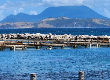 saint-kitts-and-nevis/newcastle/landmark/dolphin-discovery-saint-kitts