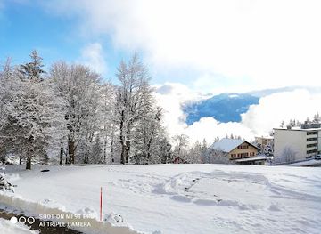 switzerland/crans-montana/landmark/sentier-des-ecureuils