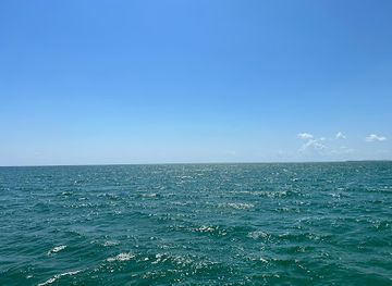 florida/key-largo/landmark/glass-bottom-boat-tours