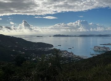 british-virgin-islands/road-town/landmark/original-virgin-canopy-tours