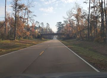 mississippi/natchez-trace-parkway/landmark/natchez-trace-parkway-sign