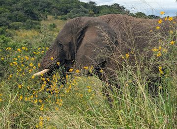 rwanda/akagera-national-park/landmark/afri-safaris-tours