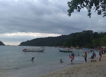 malaysia/pulau-pangkor/landmark/hornbill-feeding