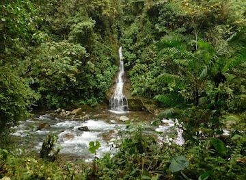 ecuador/oriente/landmark/cascadas-de-nambillo