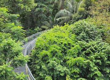 singapore/southern-ridges/landmark/earth-trail