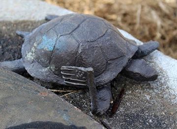 alabama/decatur/landmark/downtown-turtle-trail