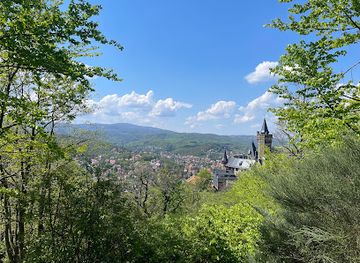 germany/harz/landmark/stempelstelle-hwn-31agnesberg
